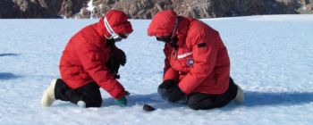Пошук метеоритів в Антарктиді виснажує, але воно того варте