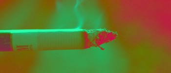 Генномодифікований тютюн може допомогти вам кинути курити