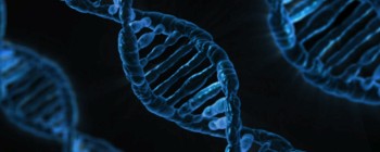 Нове дослідження підтверджує, що майбутнє зберігання даних - в ДНК