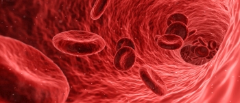 Кишкові мікроби перетворюють тип А в універсальну донорську кров