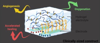 Вчені створили гель, що загоює небезпечні хронічні рани