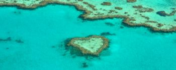 Вчені підтверджують: Великий бар'єрний риф не може бути збережений за допомогою поточних зусиль