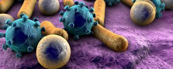 Синтетичні наноботи, синтезовані в лабораторії, можуть офіційно припинити стійкість до антибіотиків