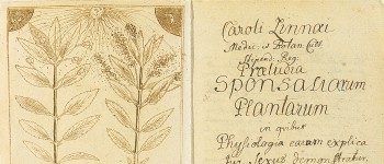 Нові види зараз відкриваються швидше, ніж будь-коли раніше