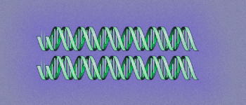 Новий метод визначає ДНК, що плаває в повітрі