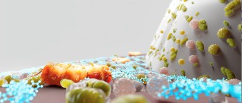 Нова зубна паста запобігає захворюванням ясен, не знищуючи корисні бактерії