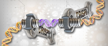 Лікування за допомогою CRISPR показує ефективність після трьох років