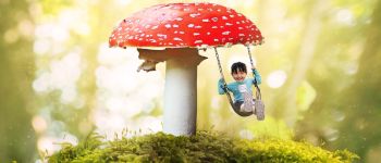 Психоделічні гриби можуть підвищити креативність і співчуття на тиждень