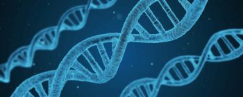 Вчені створюють матеріали з ДНК