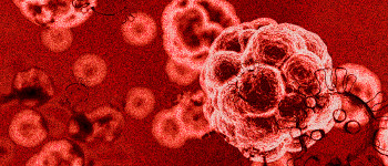 Вчені стверджують, що виявили «несподівані» нові віруси у Вухані