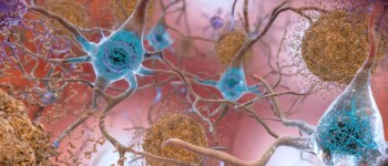 Вчені звернули назад пошкодження синапсів у мишей, спричинене хворобою Альцгеймера