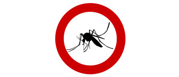 Вчені обманом змушують комарів робити щеплення від малярії