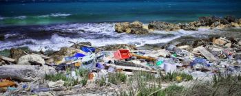 Сер Девід Аттенборо закликає до дій проти пластичного забруднення