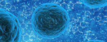 Вчені виростили перший синтетичний саморозвинутий ембріон
