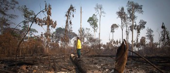 Тропічний ліс Амазонки починає виділяти більше вуглецю, ніж поглинає