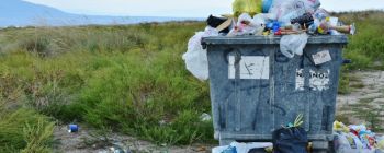 Прем'єр-міністр Великобрітанії хоче викоренити пластикове сміття до 2042 року