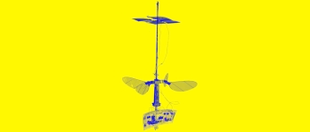 Ця маленька робо-бджола використовує для польоту тільки сонячну енергію
