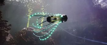 Цей плавучий робот-кальмар виглядає просто приголомшливо