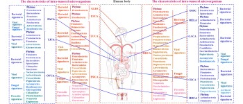 Мікробіом пухлини: прихована сигнатура визначає діагностику та лікування
