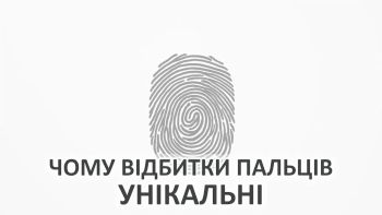 Чому відбитки пальців унікальні