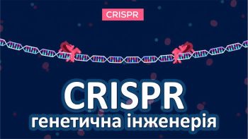 Генетична інженерія. CRISPR