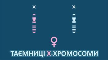 Таємниці X-хромосоми