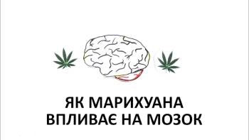 Як марихуана впливає на ваш мозок